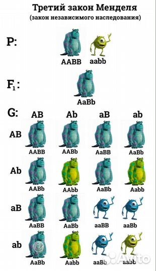 Репетитор для поступающих/учащихся в мединститутах