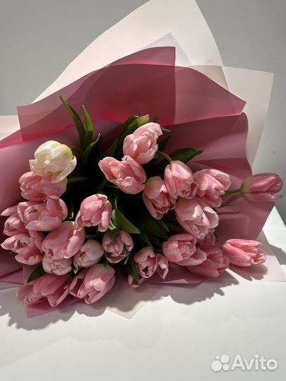 Букет тюльпаны 25 штук розовые