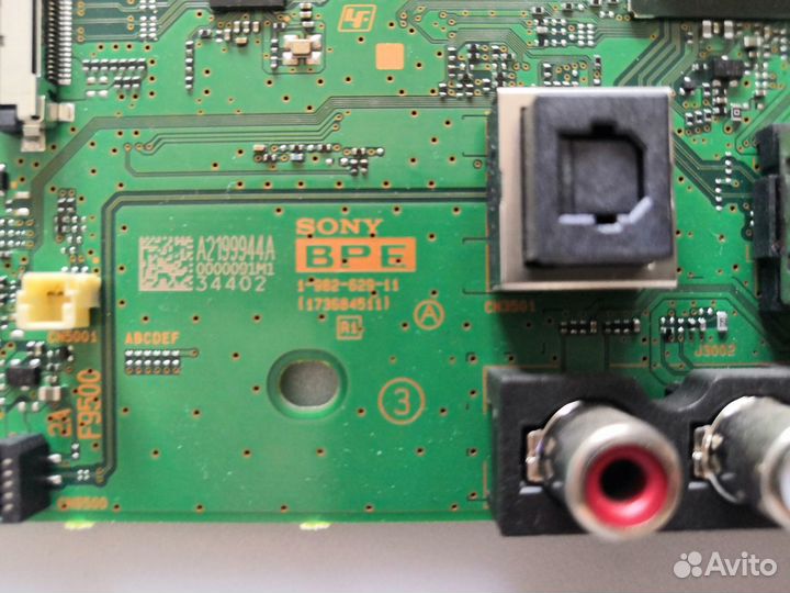 Main 173684511 1-982-629-11