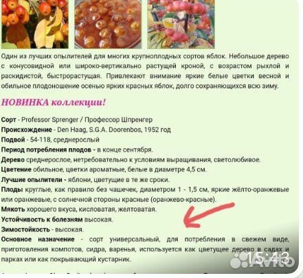 Райская яблоня зкс