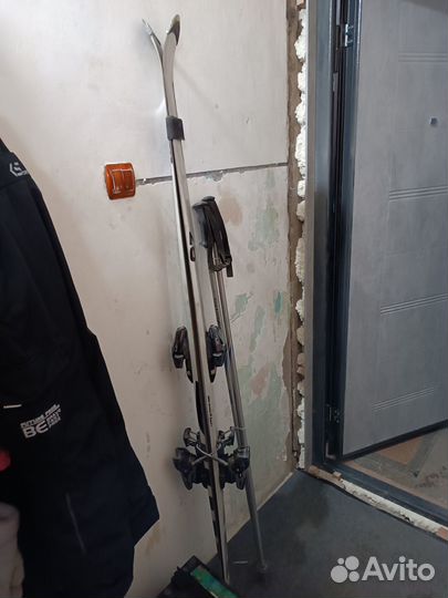 Горные лыжи