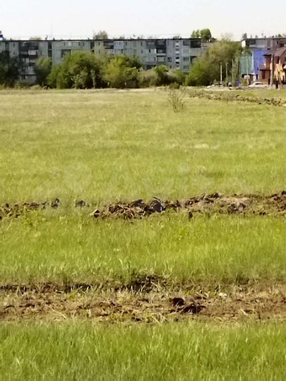 Участок 10 сот. (СНТ, ДНП)