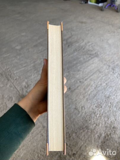 Коты воители восход луны книга