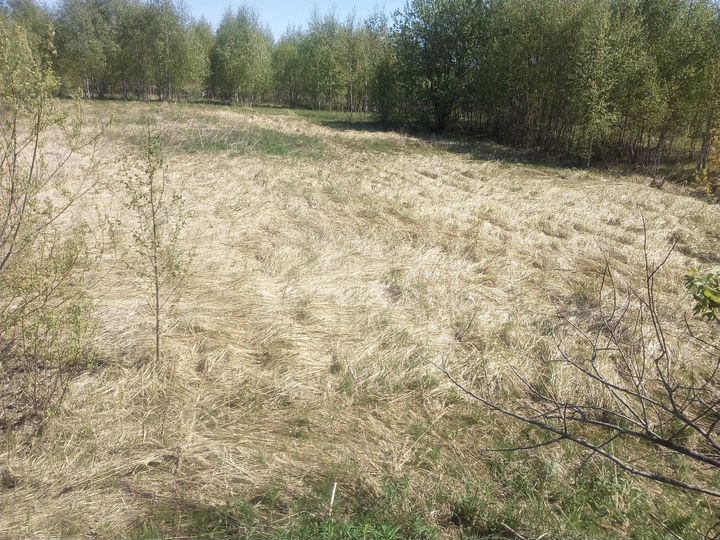 Участок 10 сот. (СНТ, ДНП)