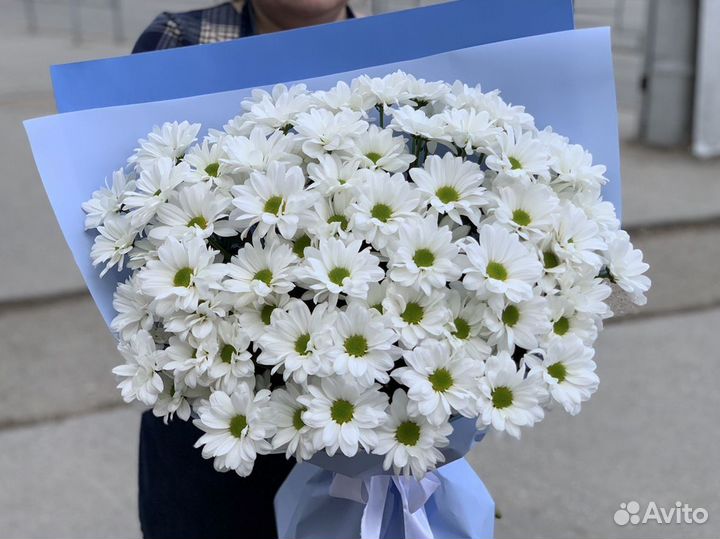 Хризантемы доставкадля женщины