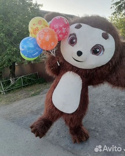 Аниматор /Поздравление /Ростовые куклы