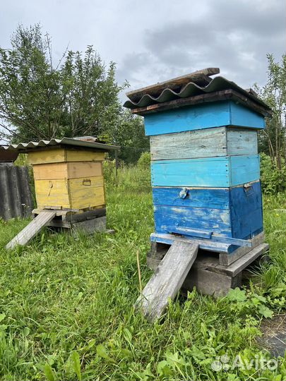 Продам ульи для пчел