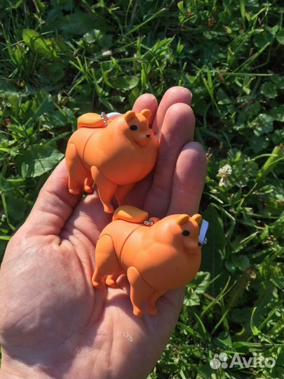 Usb флешки Шпиц 16gb