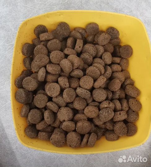 Корм для собак almo nature