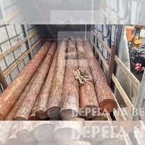Лиственница, кедр, брус, бревно, укрепление берега, Мытищи