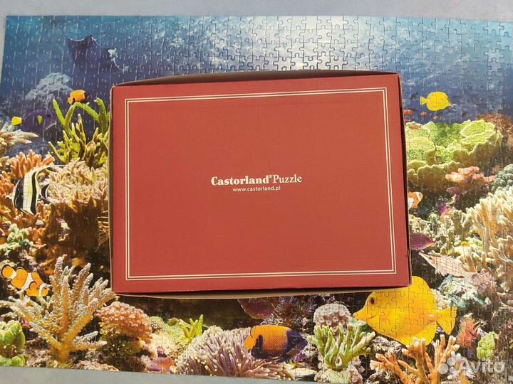 Пазл Castorland 1000