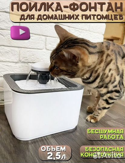 Поилка фонтан для кошек и собак