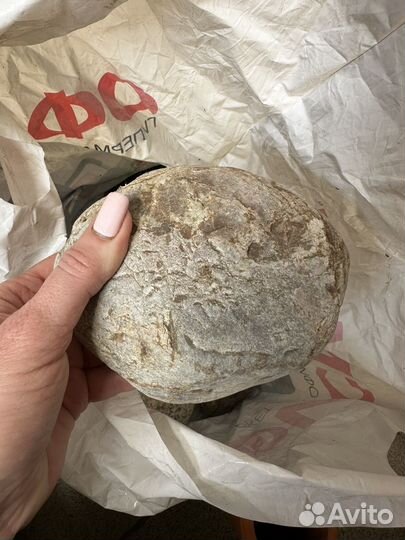 Морские камни