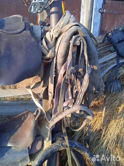 Все для лошади