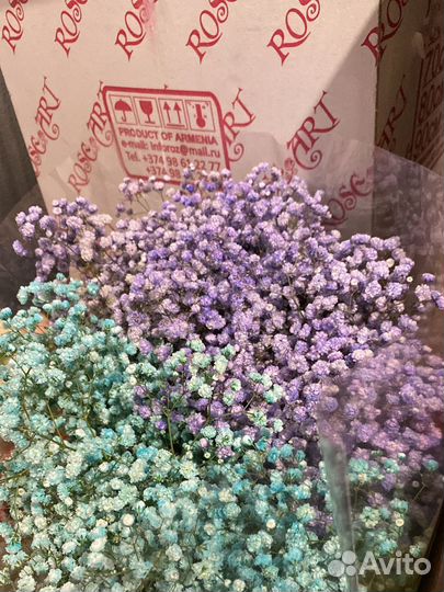 Букет из гипсофилы