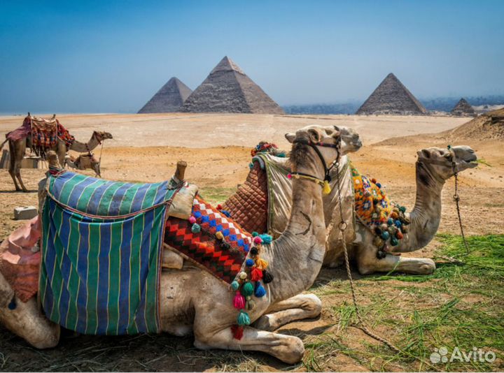 Тур поездка Египет все включ. 7 нч