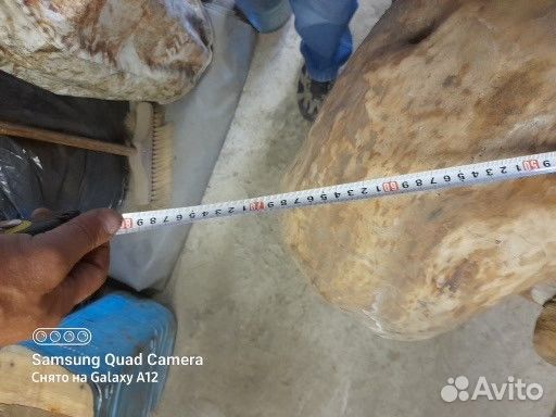 Гриб инсталляция