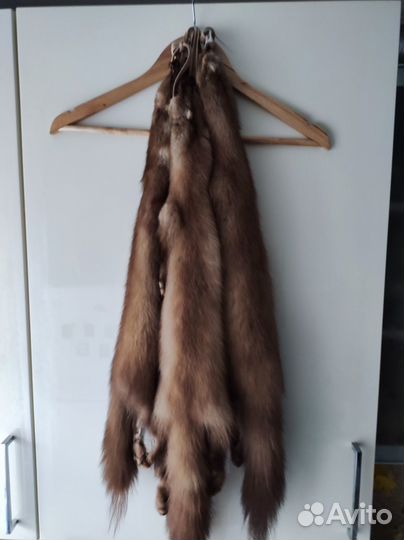 Шкурки куницы (4 штуки)