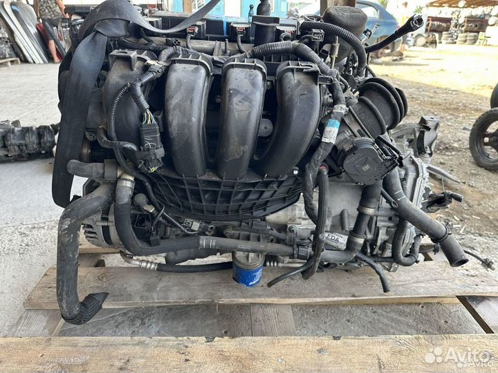 Двигатель mgda Ford Focus 3 2.0