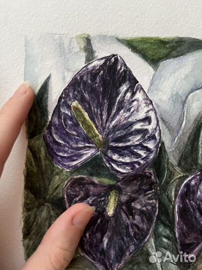 Картина ботаническая иллюстрация акварель