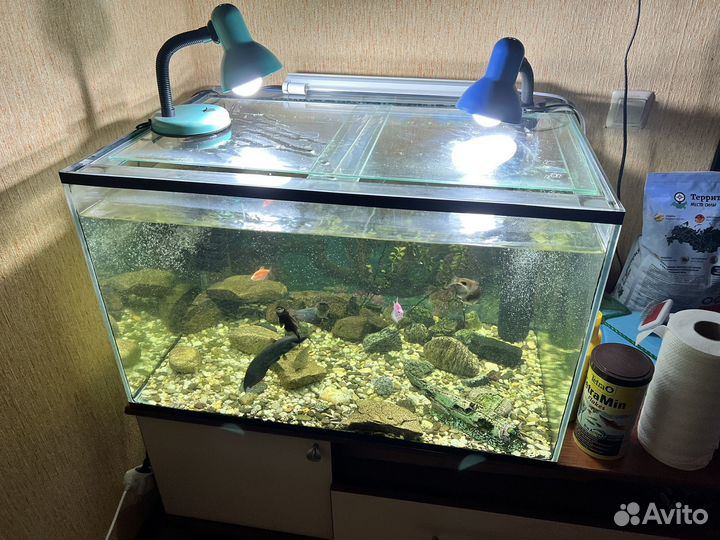 Аквариум 200 литров