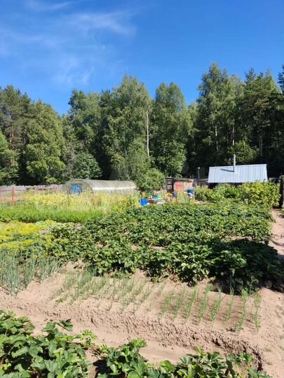 Участок 8 сот. (СНТ, ДНП)