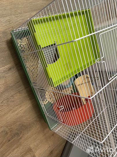 Джунгарский хомяк с клеткой