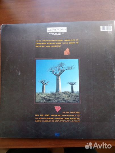 Pink floyd Delicate Sound of Thunder Vol.1 + Vol.2