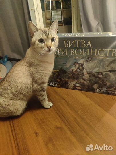 Битва пяти воинств