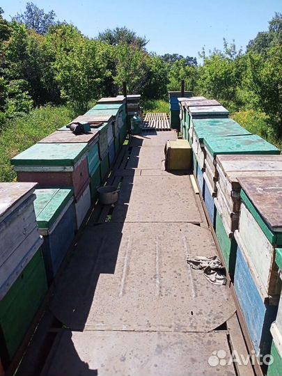 Платформа для пчел