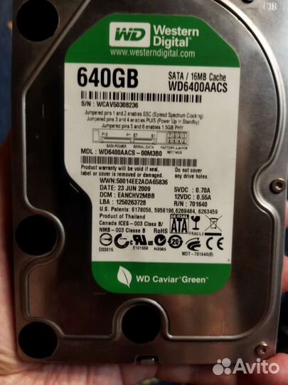 Жесткий диск western digital 640 gb