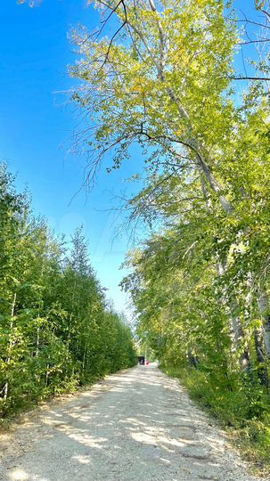 Участок 6 сот. (СНТ, ДНП)