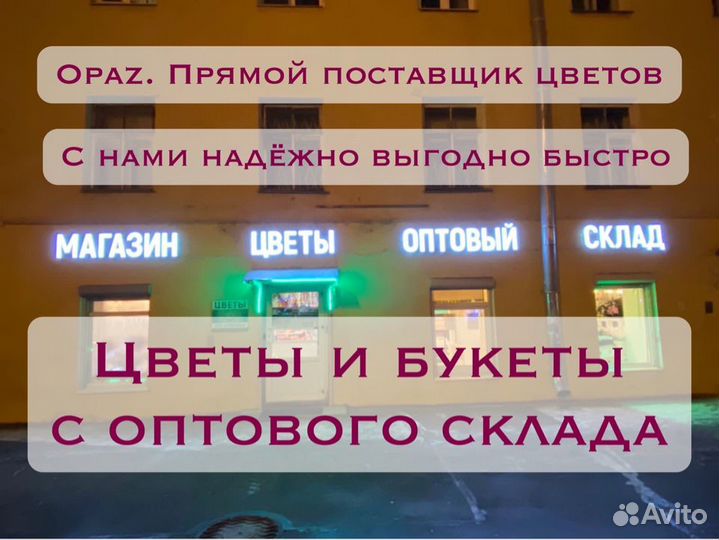 Метровые розы Розы 1,5 метра Розы высокие 150 см