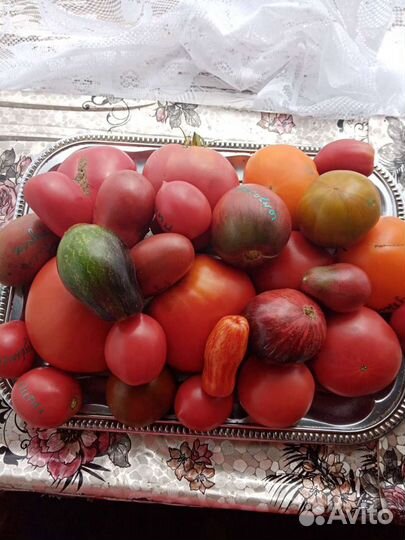 Семена томатов