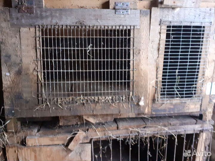 Клетка для кроликов