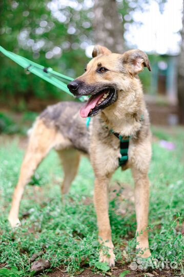 Выкинули как вещь