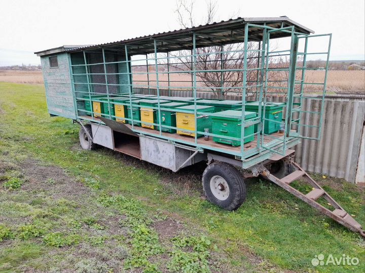 Пчелоповильен