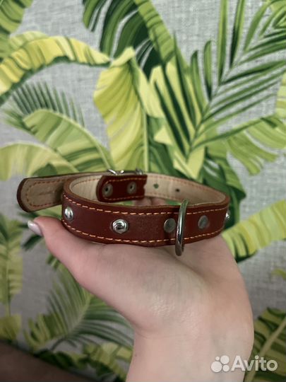 Новый Ошейник для средних собак