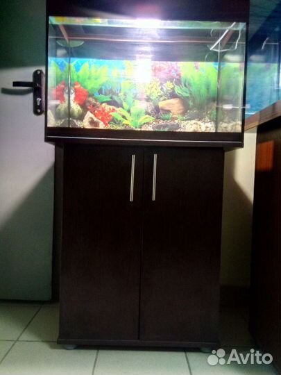 Аквариум 100 новый, свет, биофильтр фон тумба