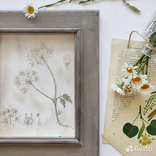 Картина ботаника акварель