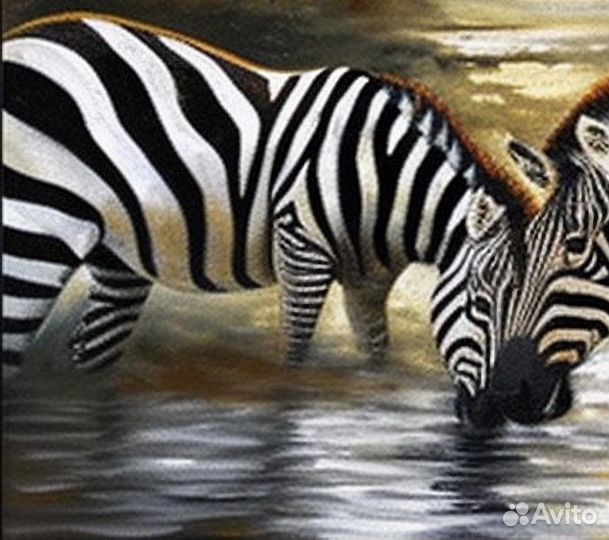 Большая картина маслом с любовью Зебры у источника