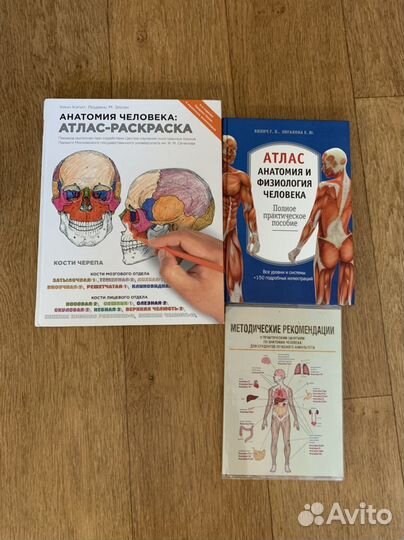 Атлас анатомии и физиологии человека