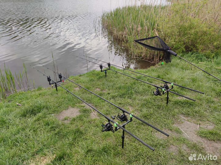 Карповые удилища Daiwa black widow 3.90