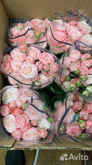 Подработка, грузчик