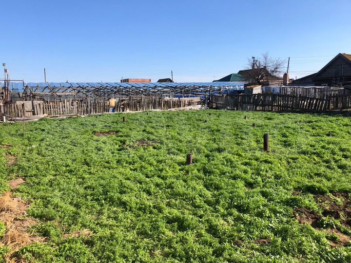 Участок 4 сот. (ИЖС)