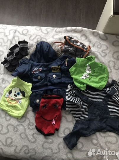 Одежда для собак