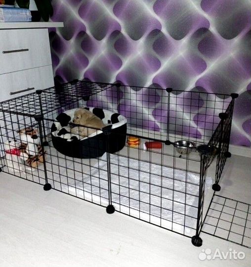 Вольер манеж