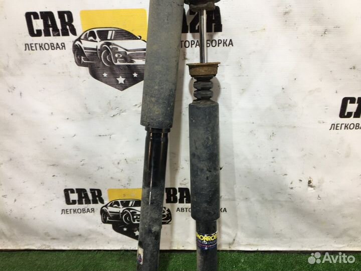 Амортизатор задний (комплект)