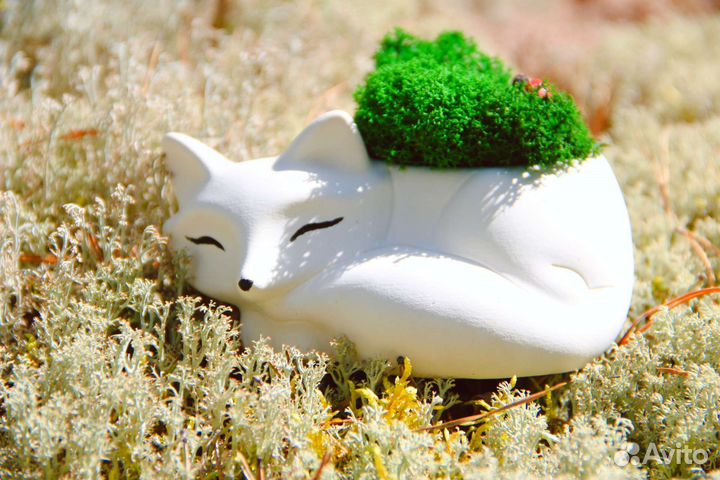 Кашпо, Подарок на день рождения