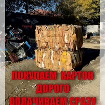Прием картона макулатуры, Дербент